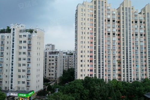 上海春城 南区 优点 不足,上海春城 南区 怎么样,上海春城 南区 周边房产中介经纪人评价