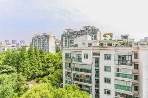 上海豪园优点 不足,上海豪园怎么样,上海豪园周边房产中介经纪人评价